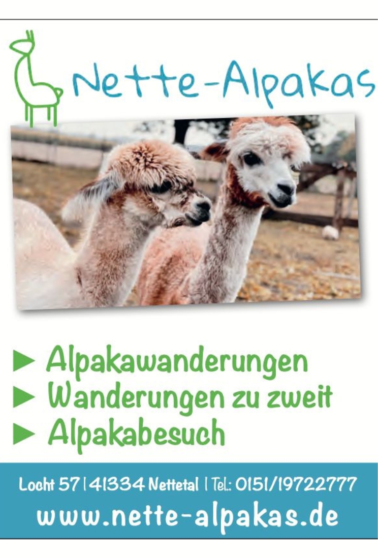 nette alpakas